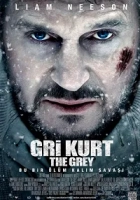 Gri Kurt 2012 Poster