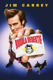 Budala Dedektif - Ace Ventura