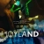 Joyland Small Poster