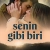 Senin Gibi Biri Small Poster