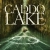 Caddo Lake Small Poster