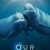 Our Oceans Small Poster